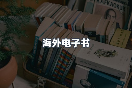 海外电子书